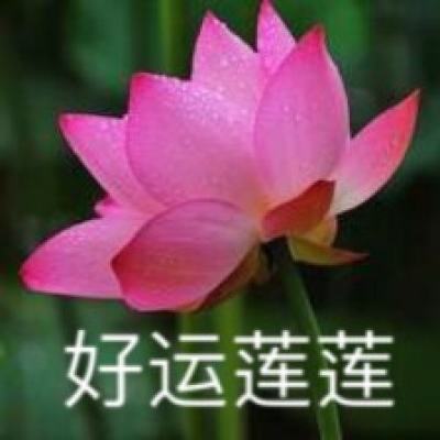 台湾舆论：“联合利剑－2024A”演习皆因赖清德谋“独”挑衅所致